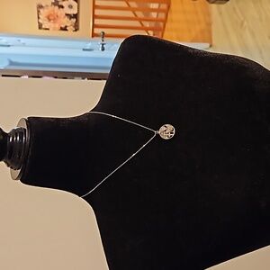 #0138 Silver toned necklace